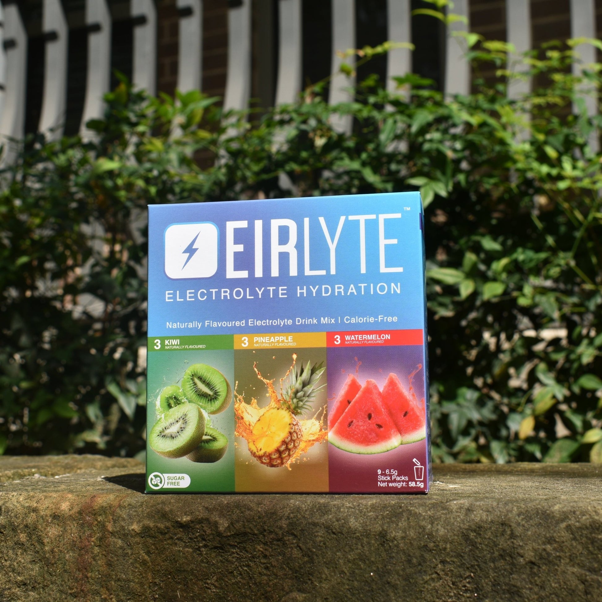 EirLyte Electrolyte Powder - EirLyte
